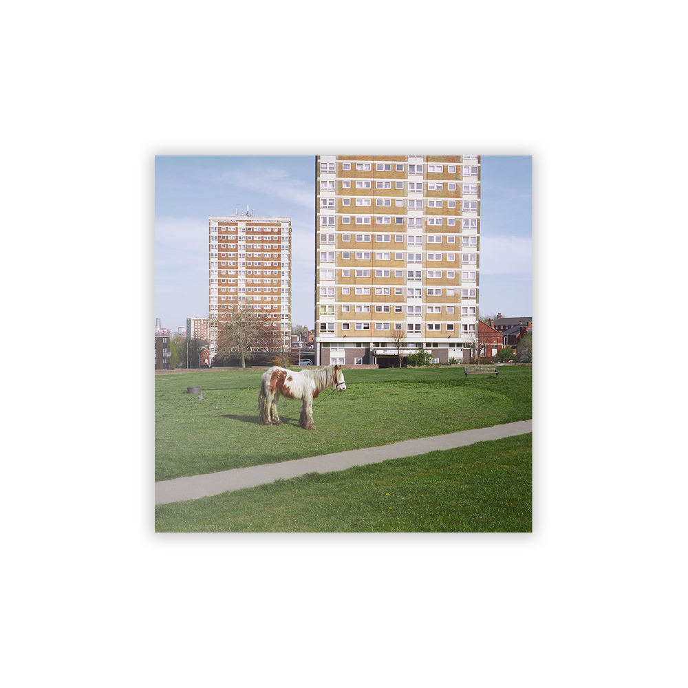 It Goes On Standard CD Cover